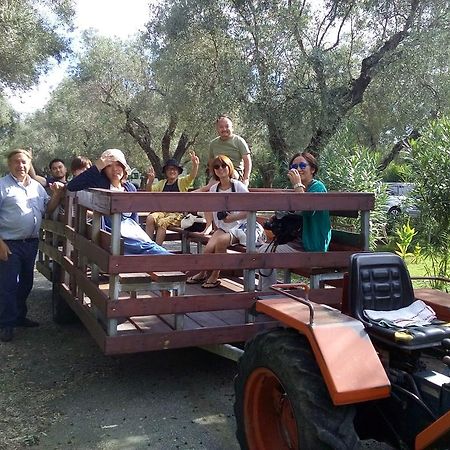 カリアーティ Agriturismo Il Marescialloヴィラ エクステリア 写真