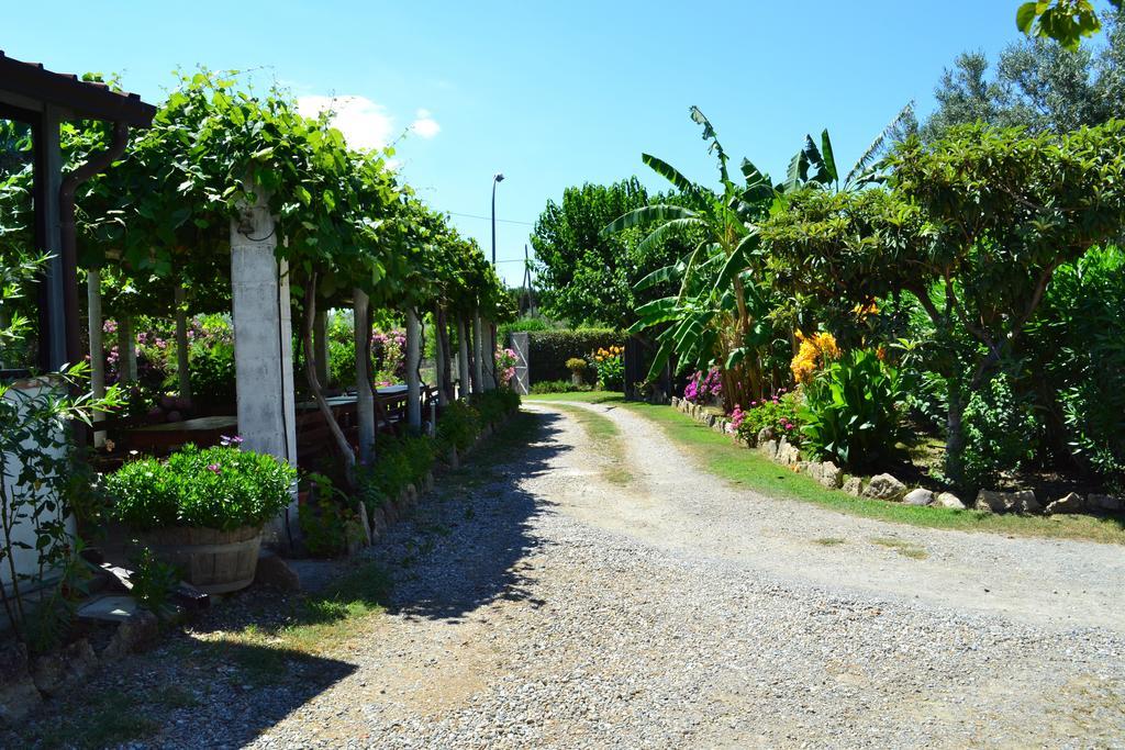 カリアーティ Agriturismo Il Marescialloヴィラ エクステリア 写真