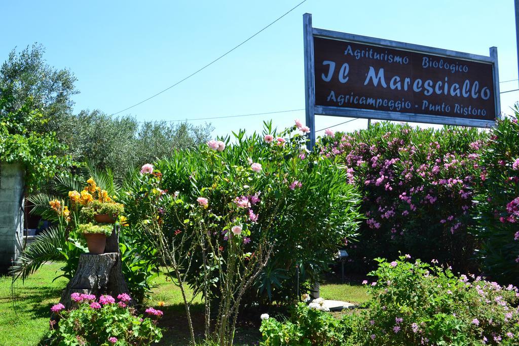 カリアーティ Agriturismo Il Marescialloヴィラ エクステリア 写真