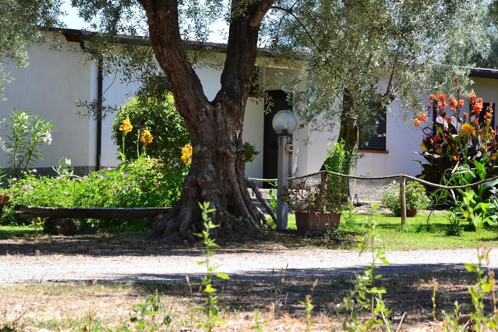 カリアーティ Agriturismo Il Marescialloヴィラ 部屋 写真